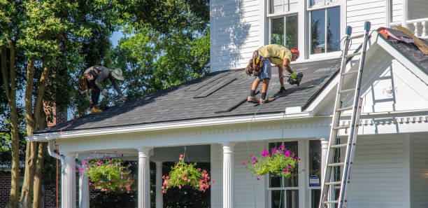 Roof Gutter Cleaning in Raceland, LA